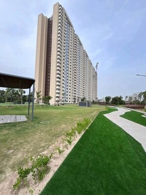 3 BHK Apartment – Exterior View View at Tulip Yellow, Sector 69 - for Sale