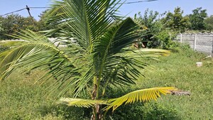 Plot Area in  Plot at Secunderabad – for Sale