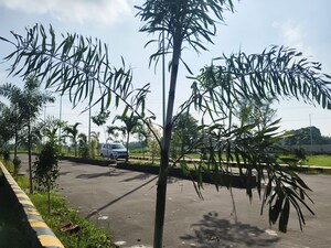  Plot – Exterior View View at Nagram Road - for Sale