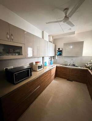 Kitchen in 3 BHK Apartment at Ansal API Esencia, Sector 67 – for Rent