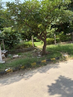 Plot Area in  Plot at Sector 35 – for Sale