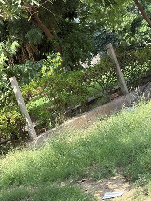 Plot Area in  Plot at Sector 35 – for Sale