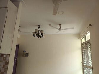 2 BHK +Apartment For Rent in Gaur City 2 - 12th Avenue in Sector 16c Greater Noida, Greater Noida