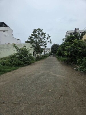 Plot For Sale in Laharpur