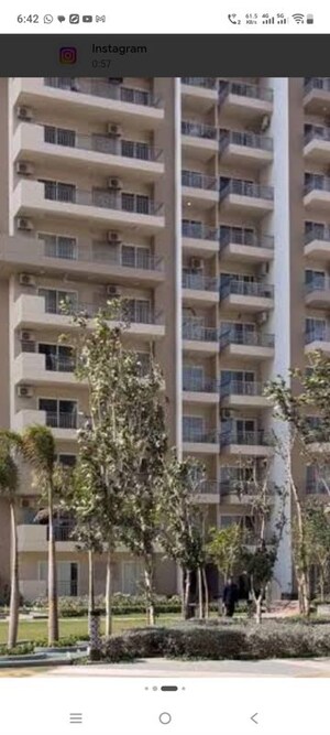 3 BHK Apartment For Rent in ABA Ivy County, Sector 75