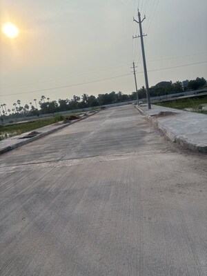 Plot Area in  Plot at Pathapadu – for Sale