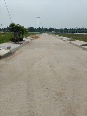 Plot Area in  Plot at Pathapadu – for Sale