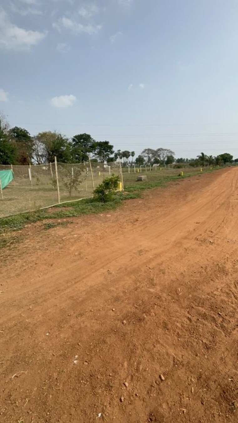 undefined, gollapudi  198 Sq.Yd. Plot In Gollapudi Vijayawada 10686339