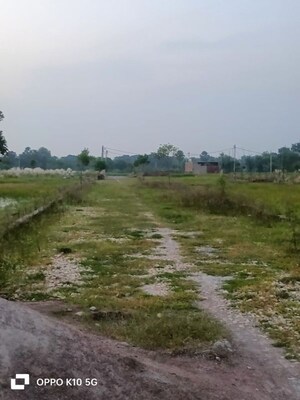 Plot Area in  Plot at Raebareli Road – for Sale