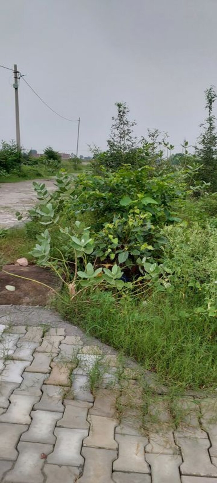 undefined, gwalior road  100 Sq.Yd. Plot In Gwalior Road Agra 10686566