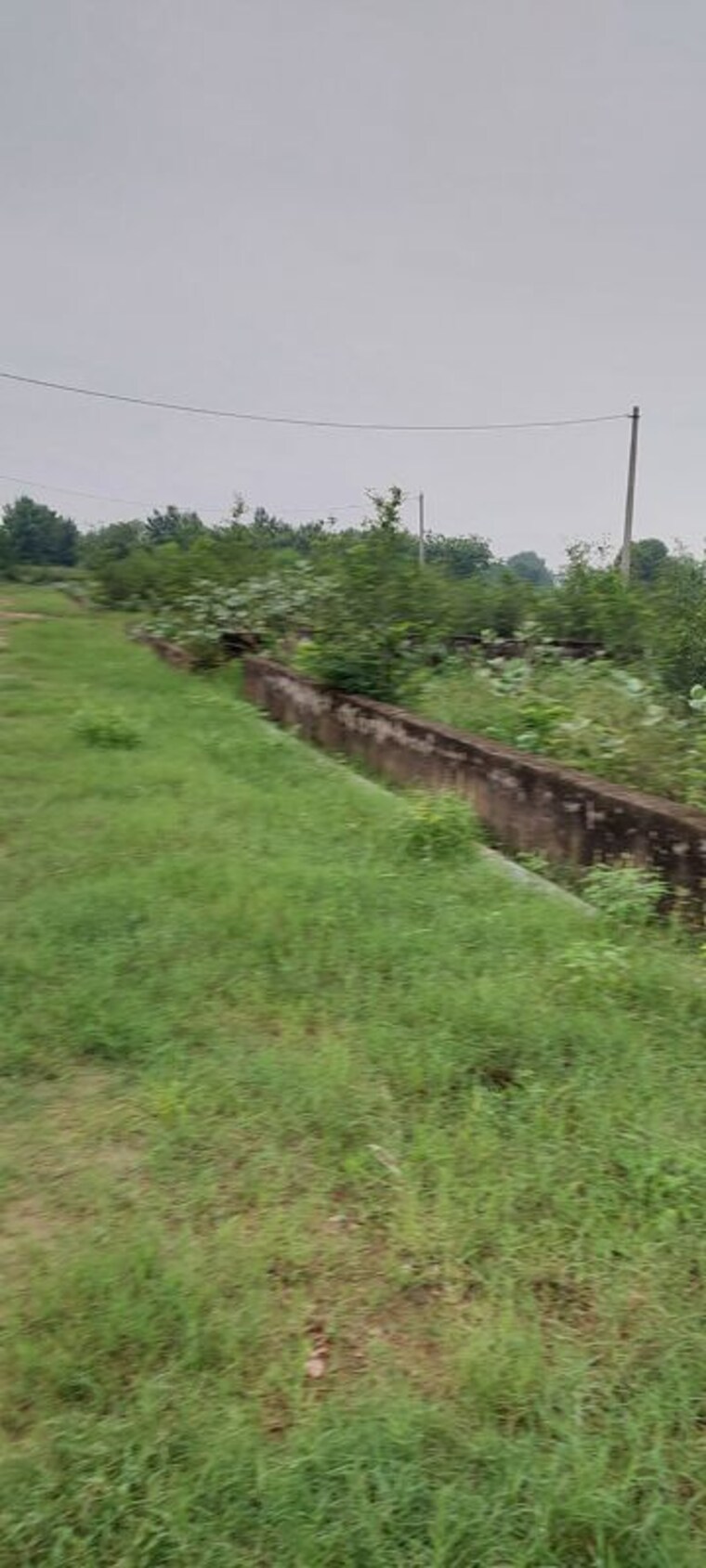 undefined, gwalior road  100 Sq.Yd. Plot In Gwalior Road Agra 10686566