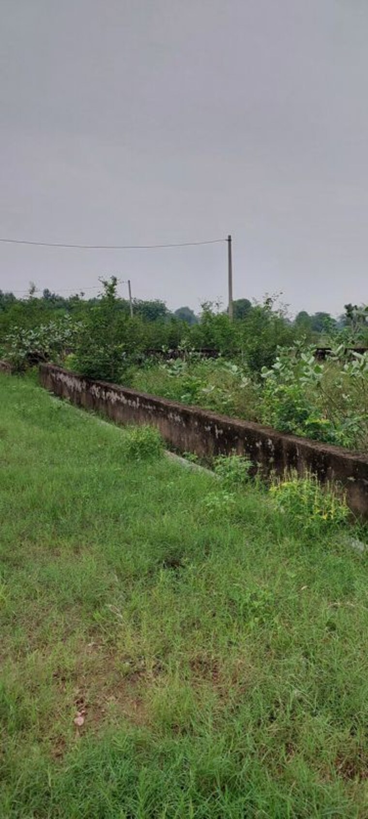undefined, gwalior road  100 Sq.Yd. Plot In Gwalior Road Agra 10686566