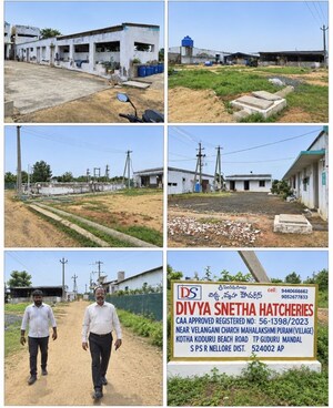  Land For Sale in Jyothi Nagar