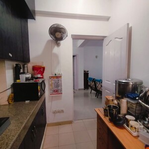 Kitchen in 3 BHK Apartment at Tulip White, Sector 69 – for Sale