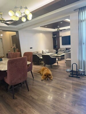Parking in 5 BHK Penthouse at Vipul Greens, Sector 48 – for Sale