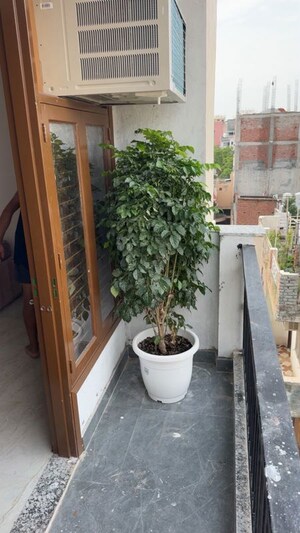 Balcony in 1 BHK Apartment at Saket – for Rent