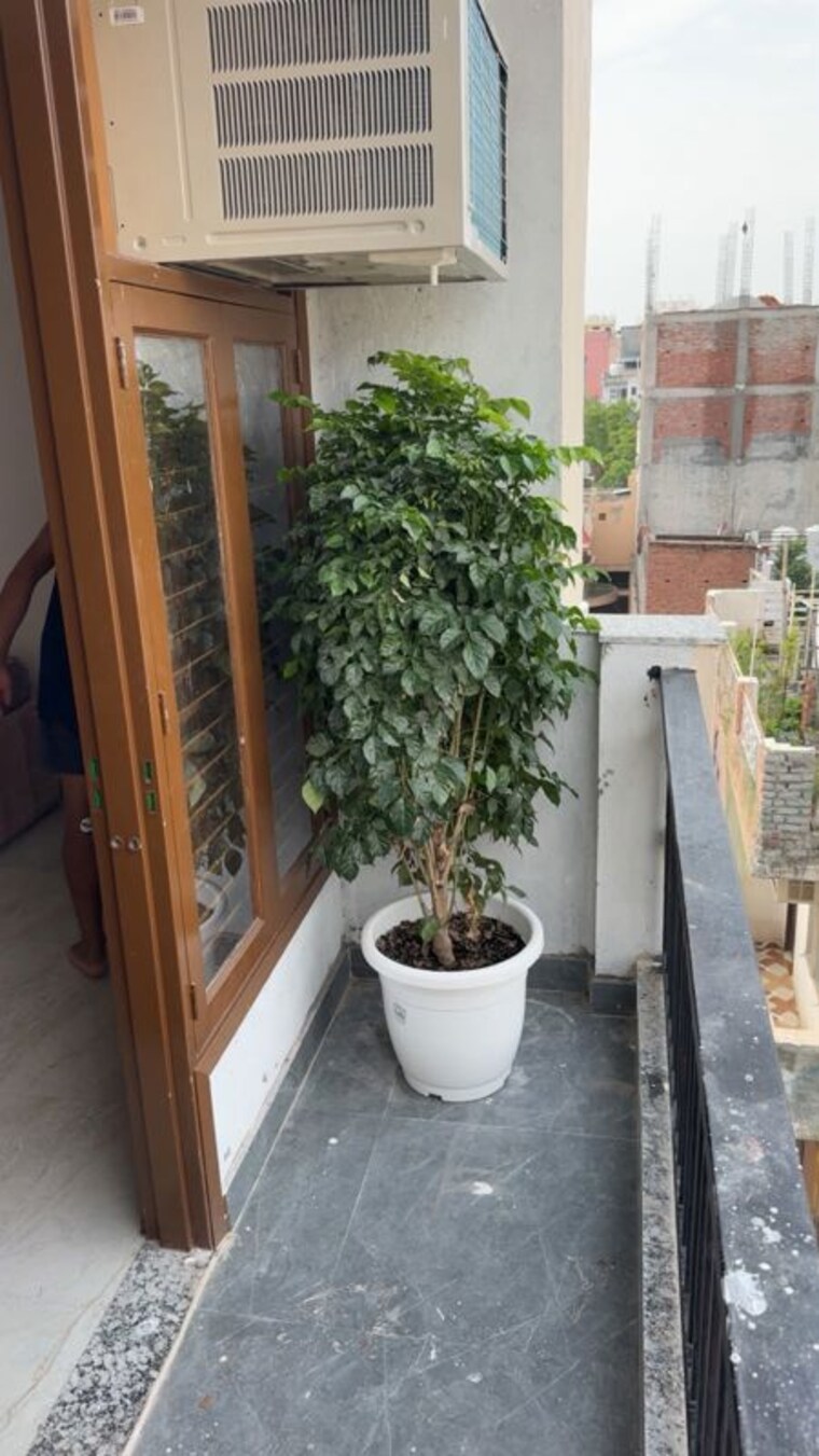 Balcony, saket 1 Bedroom 500 Sq.Ft. Apartment In Saket Delhi 10687102