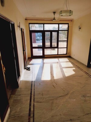 3 BHK Builder Floor For Sale in Dlf Phase ii