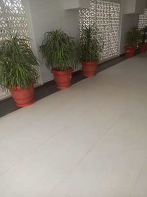 Parking in 3 BHK Builder Floor at Central Park The Orchard, Sohna Sector 33 – for Rent