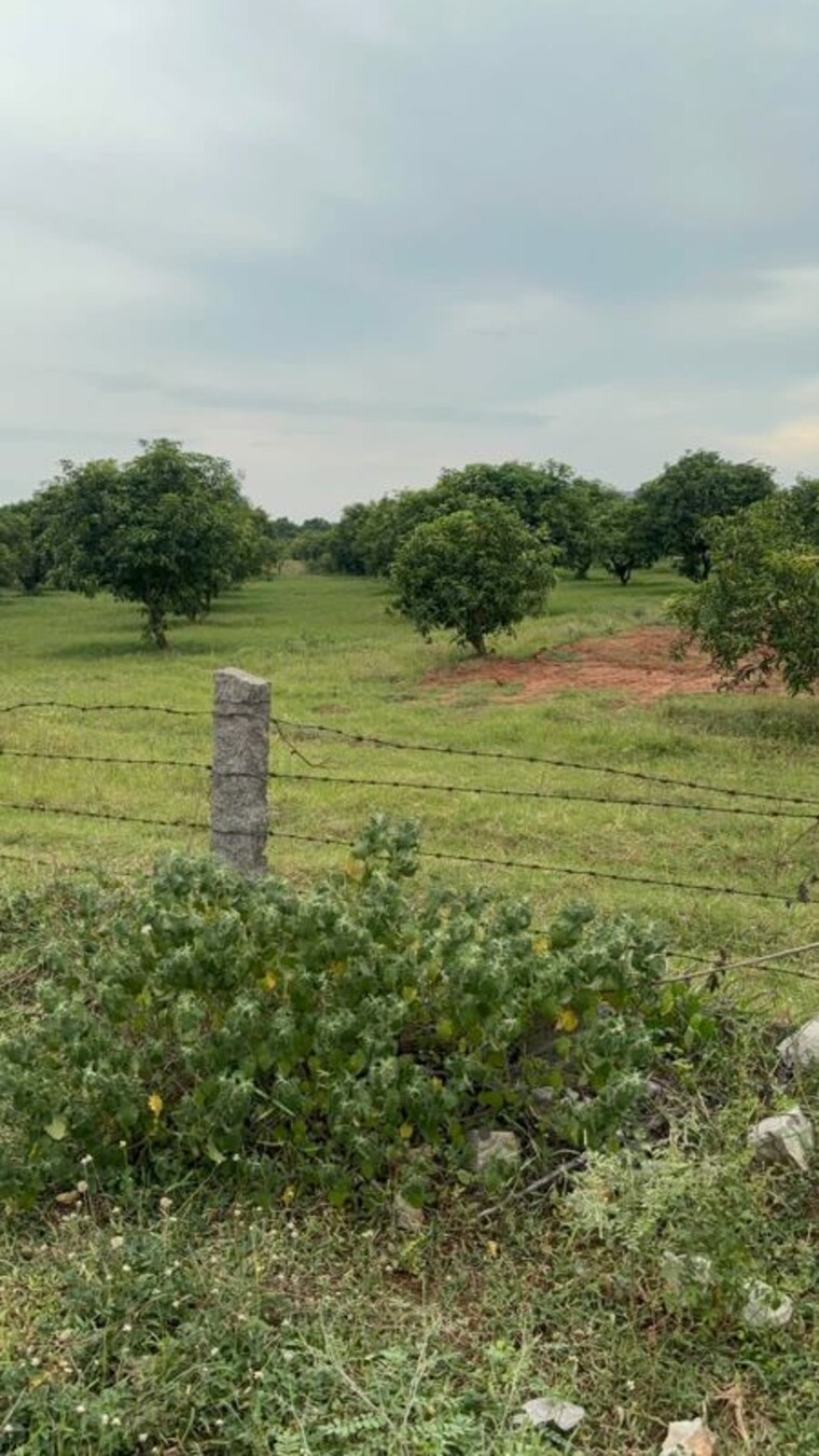 undefined, poranki  240 Sq.Yd. Plot In Poranki Vijayawada 10687311