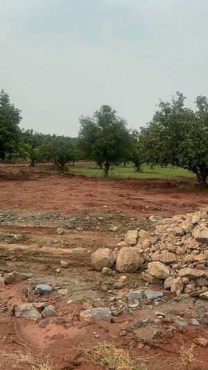 Plot Area in  Plot at Surampalli – for Sale
