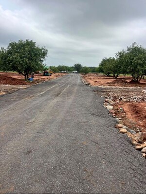 Plot Area in  Plot at Surampalli – for Sale