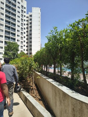 2 BHK Apartment – Exterior View View at Megapolis Symphony, Hinjewadi - for Rent