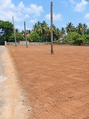 Plot Area in  Plot at Puranattukara – for Sale
