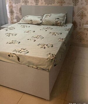3 BHK Builder Floor For Rent in Sector 23