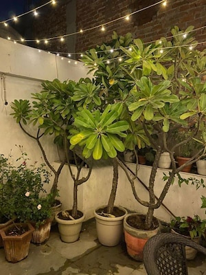 Balcony in 1 BHK Builder Floor at Greater Kailash – for Rent