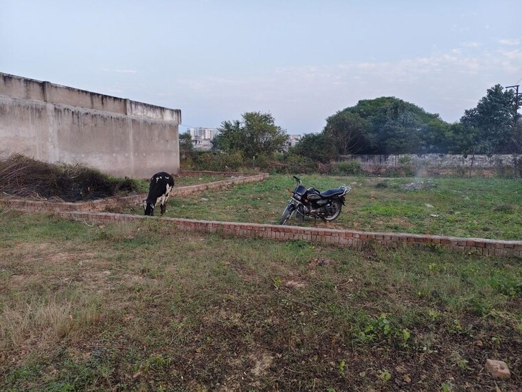 undefined, mubarakpur  1040 Sq.Ft. Plot In Mubarakpur Lucknow 10687723