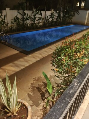Swimming Pool in 3 BHK Apartment at Anjuna – for Rent