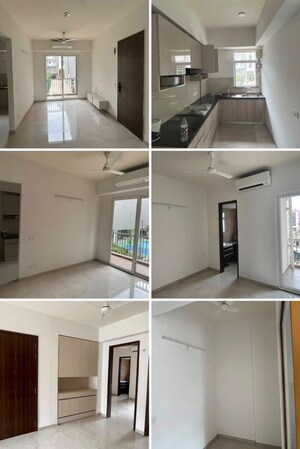 Kitchen in 4 BHK Apartment at DLF Westend Heights, Sector 53 – for Rent