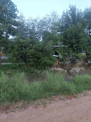  Plot For Sale in Modinagar