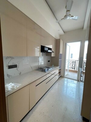 Kitchen in 3 BHK Builder Floor at Sector 21 – for Rent