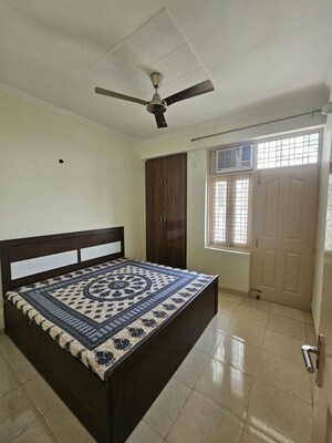 3 BHK Apartment For Rent in Tulip Orange, Sector 70