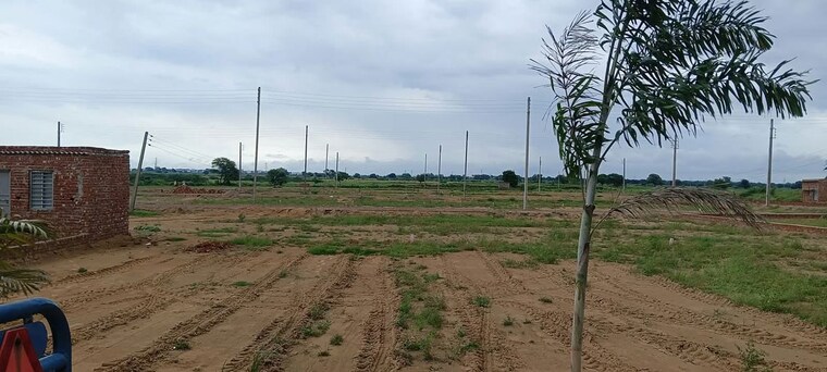 undefined, sector 6  100 Sq.Yd. Plot In SectoR 6 Jhajjar 10687994