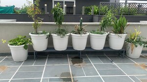 Terrace in 4 BHK Penthouse at Greater Kailash ii – for Rent