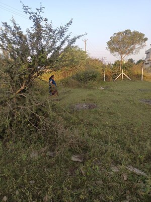  Plot – Exterior View View at Rahatgaon - for Sale
