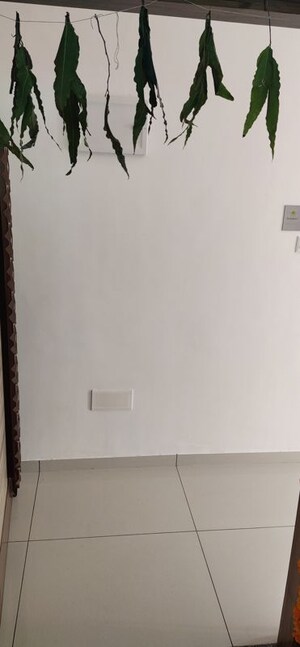 3 BHK Apartment – Entrance View at Everest Trinity, Bhayli - for Sale