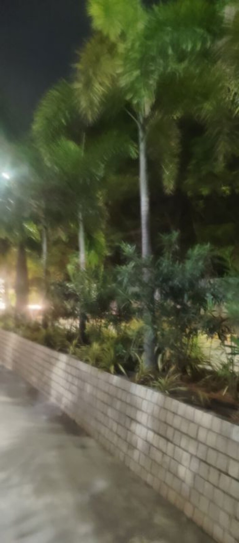 Garden, modi-sterling-homes 2 Bedroom 30000 Sq.Ft. Apartment In Kompally Hyderabad 10688433