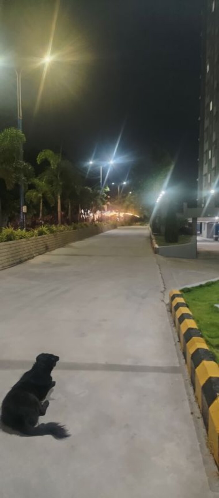 Garden, modi-sterling-homes 2 Bedroom 30000 Sq.Ft. Apartment In Kompally Hyderabad 10688433