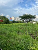 239580 Sq.Ft. Land in Peringavu