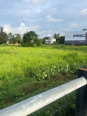 Plot Area in  Land at Peringavu – for Sale