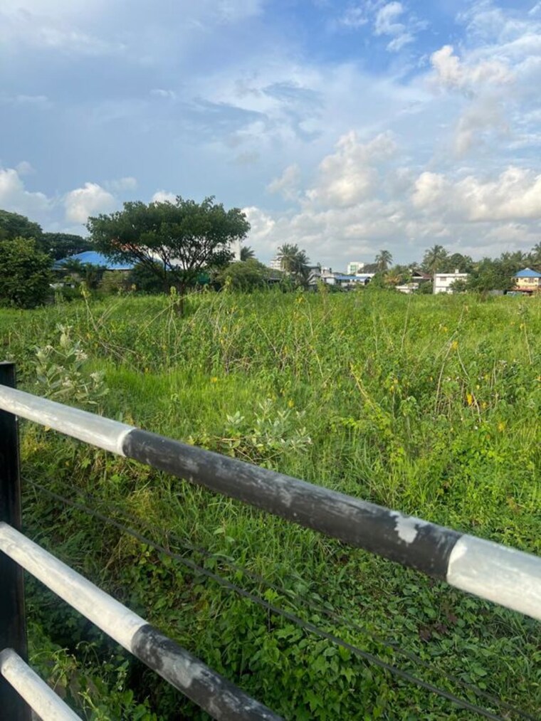 undefined, peringavu Commercial Land 239580 Sq.Ft. In Peringavu Thrissur 10688427