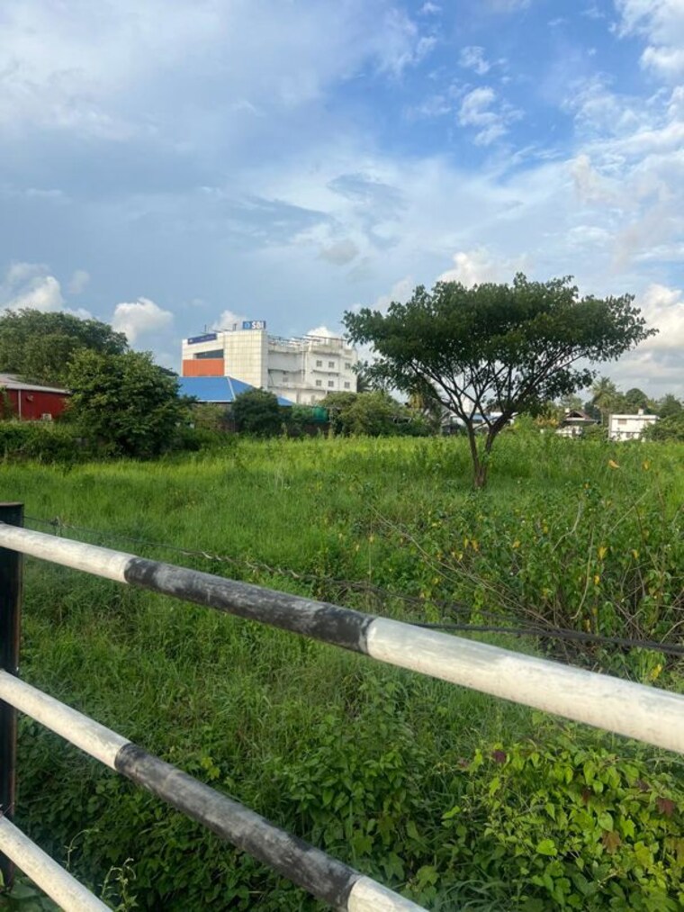 Garden, peringavu Commercial Land 239580 Sq.Ft. In Peringavu Thrissur 10688427