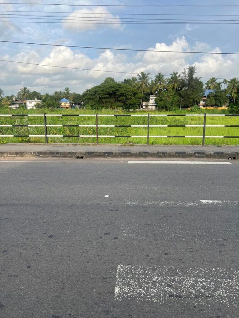 undefined, peringavu Commercial Land 239580 Sq.Ft. In Peringavu Thrissur 10688427