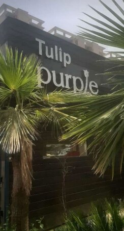 4 BHK +Apartment For Sale in Tulip Purple