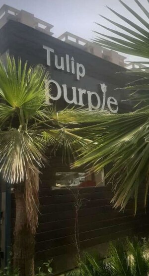 4 BHK Apartment For Sale in Tulip Purple, Sector 69