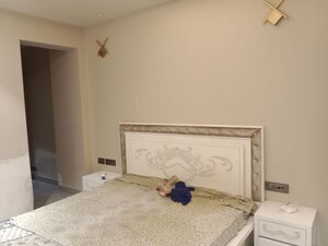 3 BHK Independent House For Rent in East Of Kailash